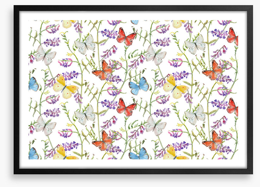 Butterflies