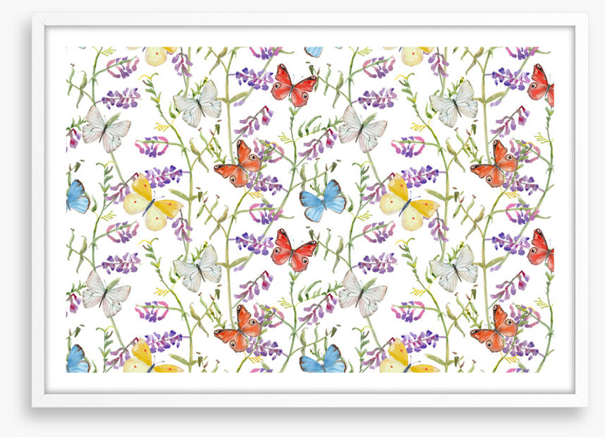 Butterflies