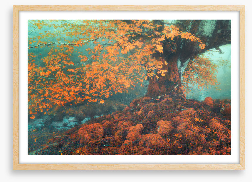 Fantasy in fall