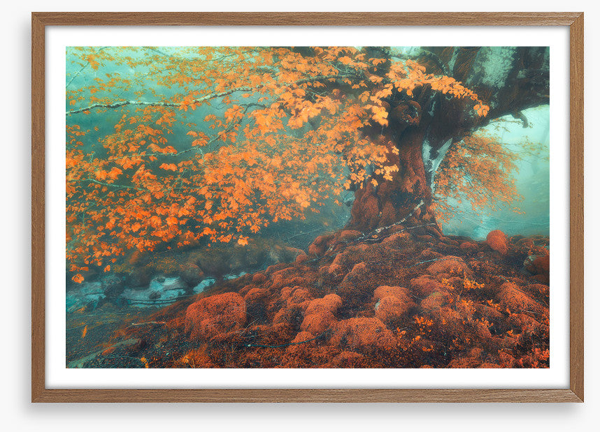 Fantasy in fall
