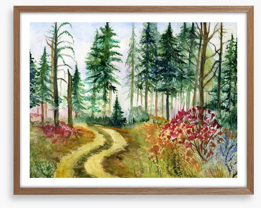 Path through the pines