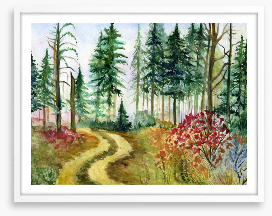 Path through the pines