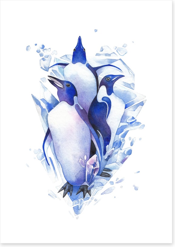 Birds
