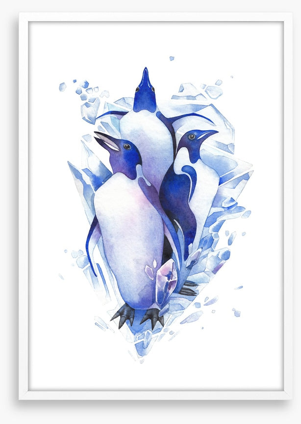 Birds