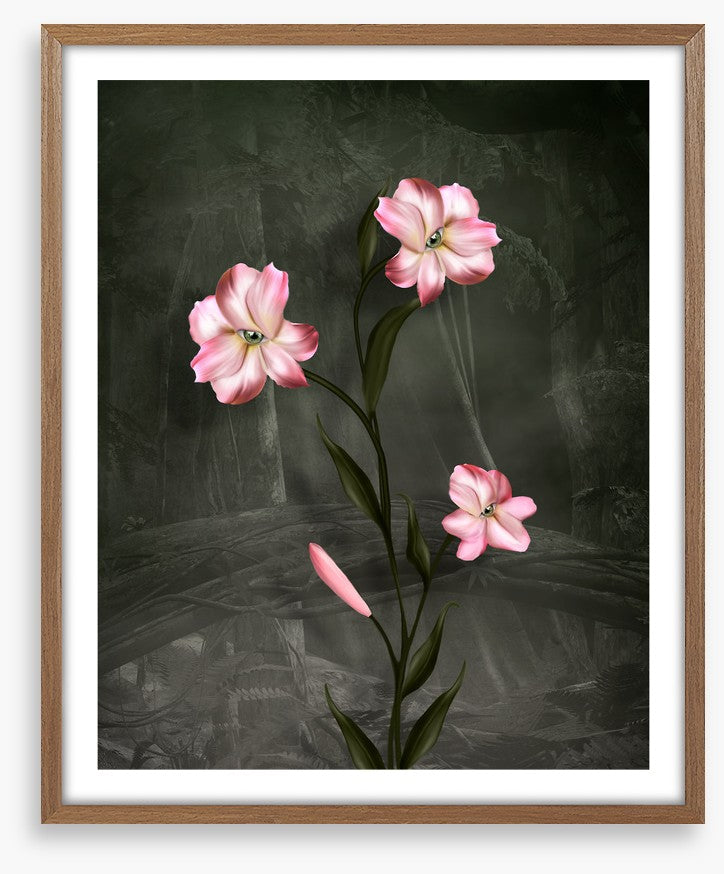 Peeping petals