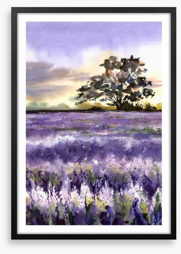 Purples of Provence