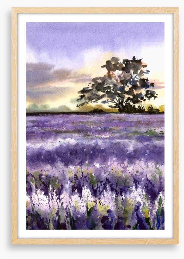 Purples of Provence