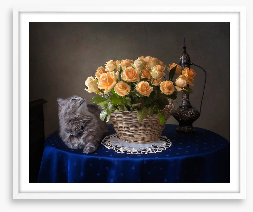 Still Life