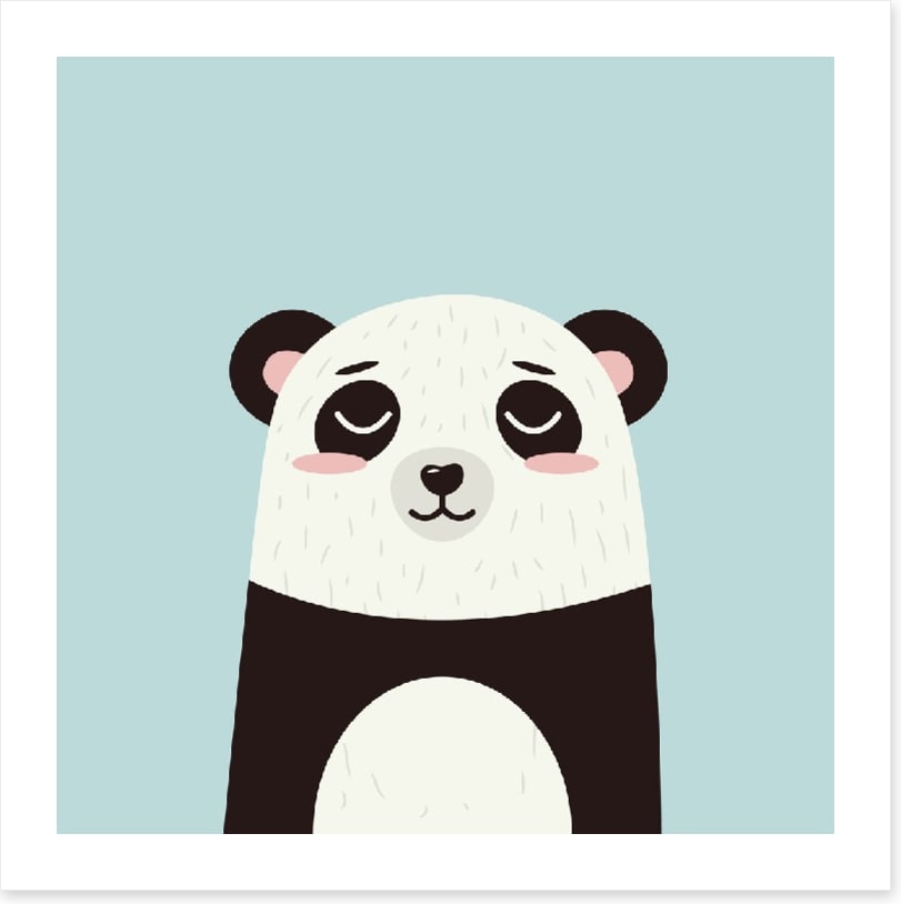 Panda eyes