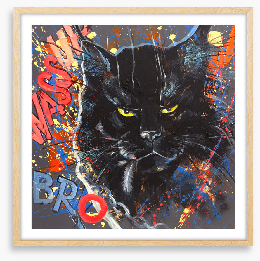Maine Coon cool