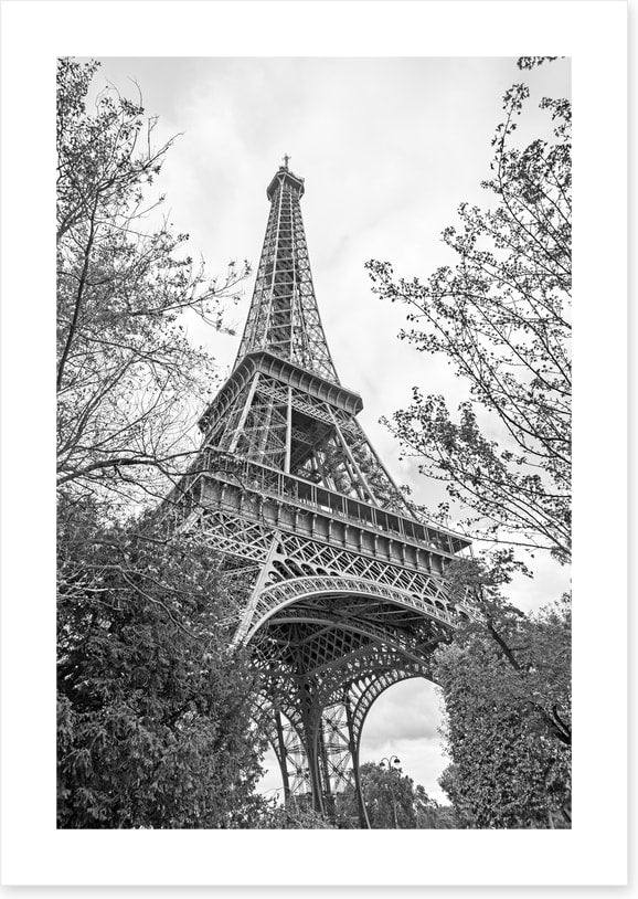 Eiffel Tower trees