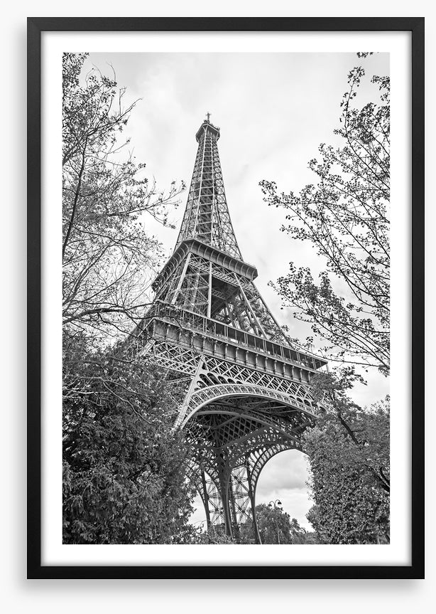 Eiffel Tower trees