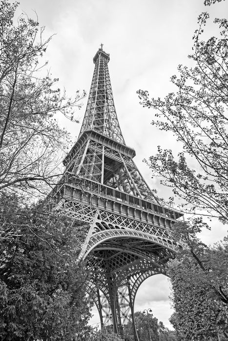 Eiffel Tower trees