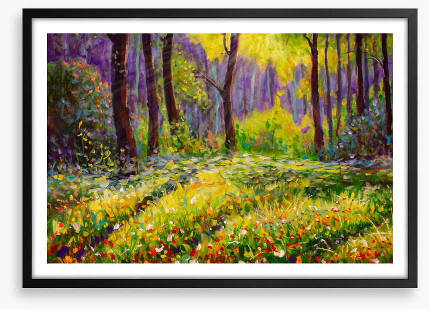 Grass in the glade