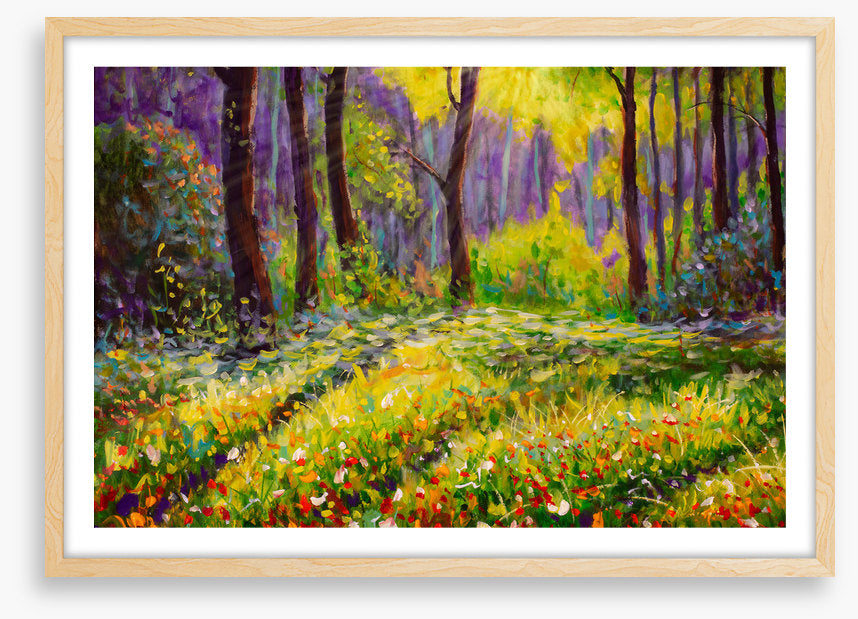 Grass in the glade