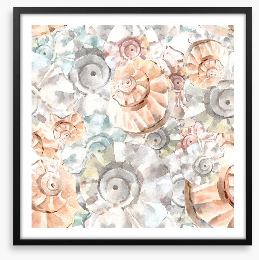 As soft as seashells