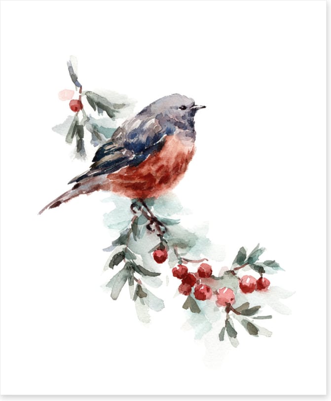 Birds