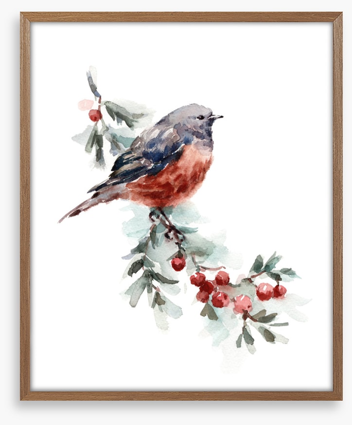 Birds