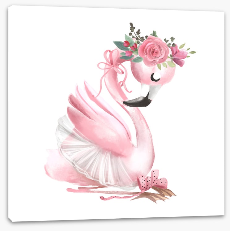 Baby flamingo ballet