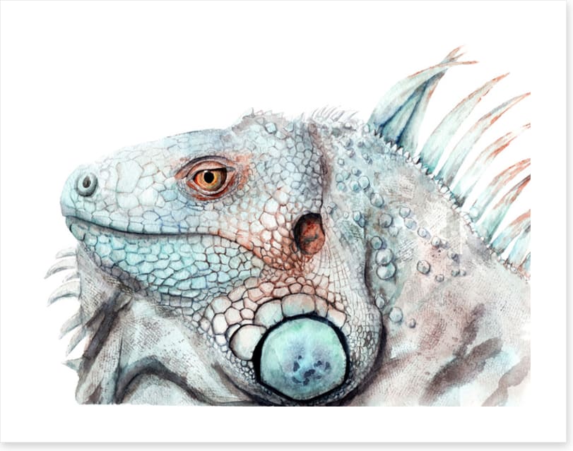 The lizard look