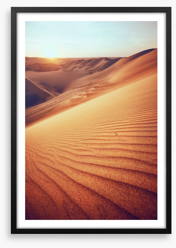 Desert