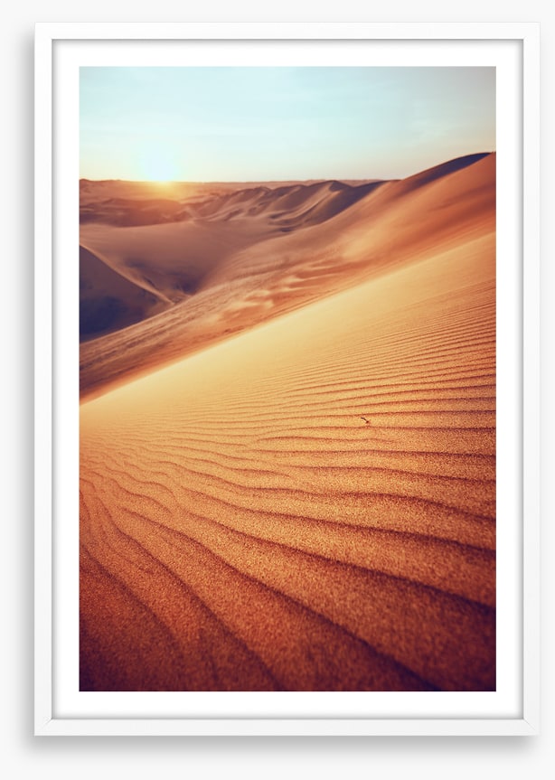 Desert