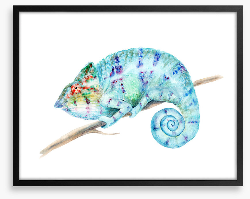 Karma chameleon