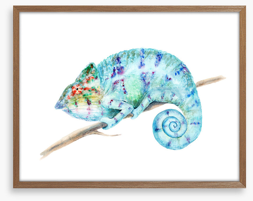 Karma chameleon