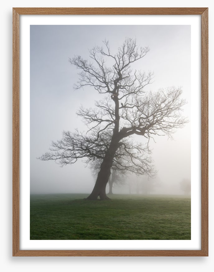 Leaning into the mist