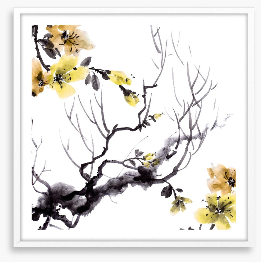 Golden branch bloom