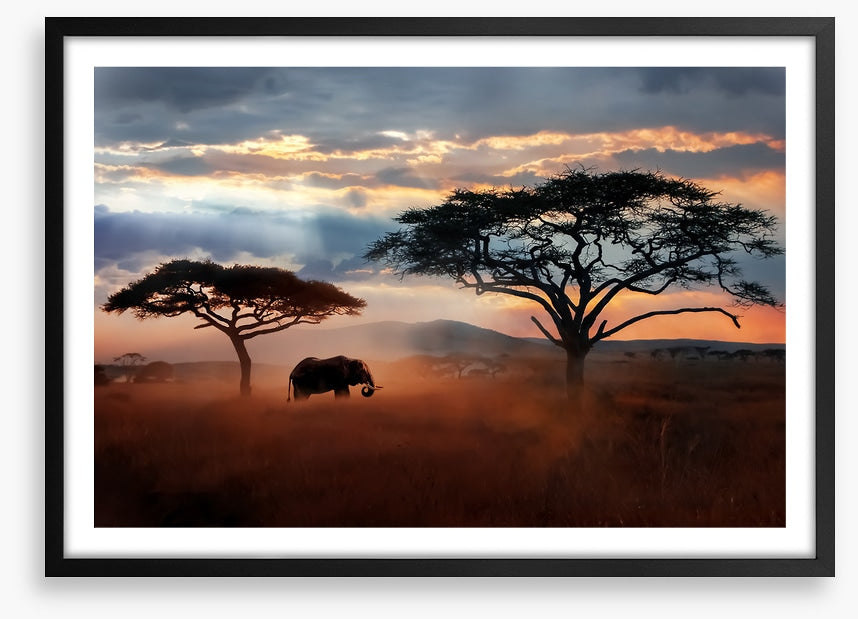 Serengeti dust silhouettes