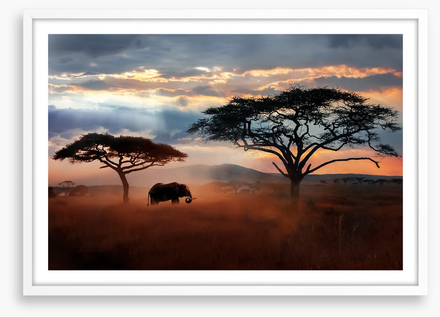 Serengeti dust silhouettes