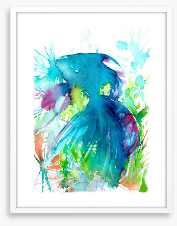 Aquaria