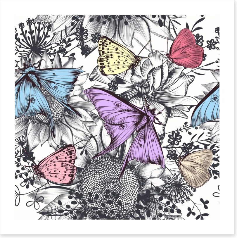 Butterflies