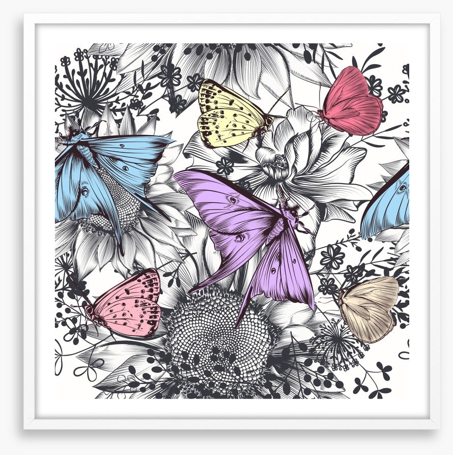 Butterflies