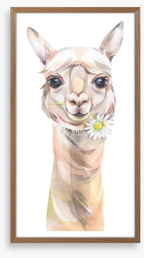 Chamomile llama
