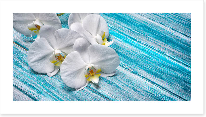 White orchid blues