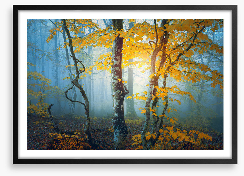 The last leaves