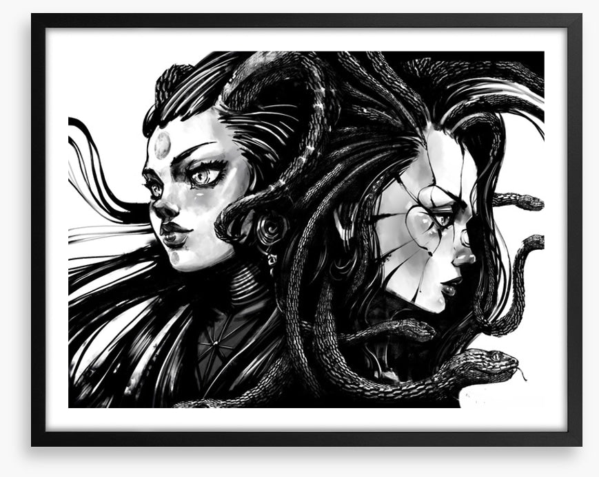Twins of Medusa