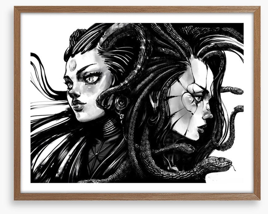 Twins of Medusa