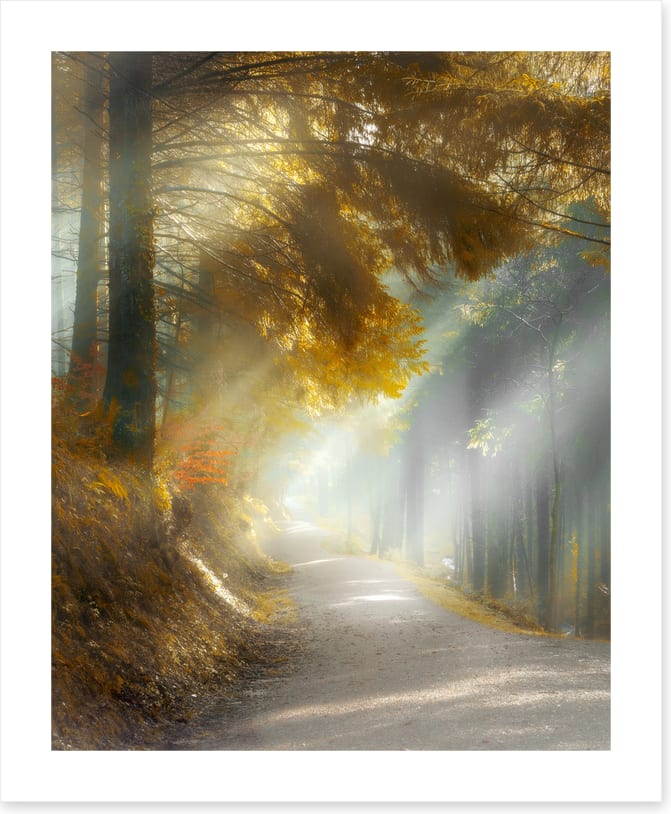 Through the sun rays