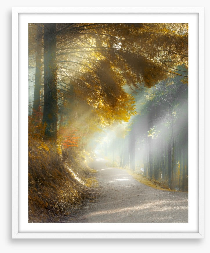 Through the sun rays