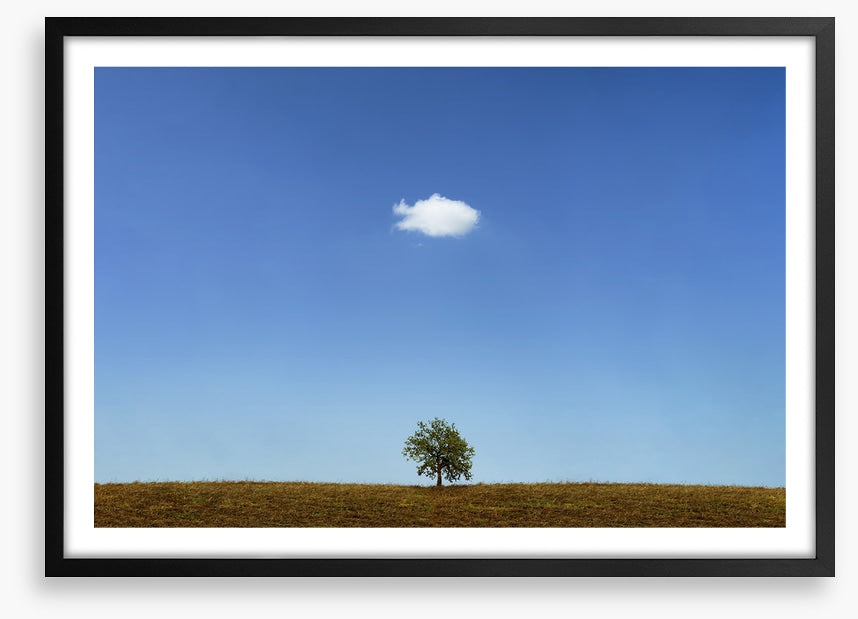 Below the cloud