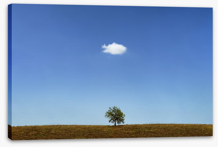 Below the cloud