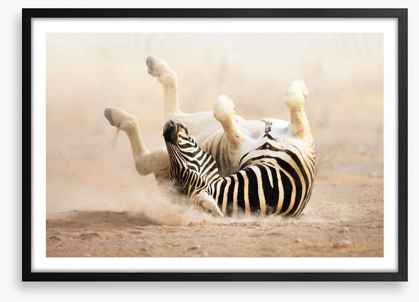 Mammals