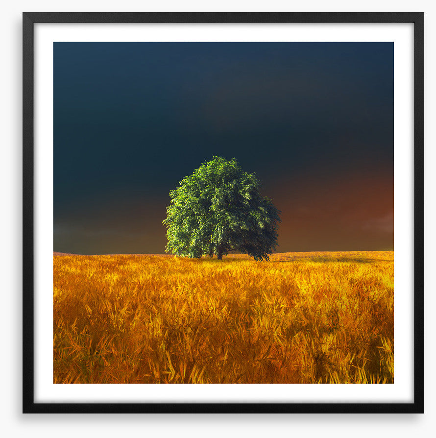 Alone in the rye