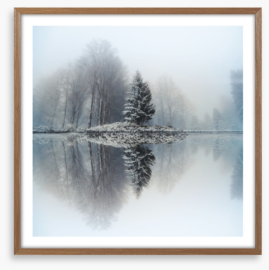 Mirror lake fir