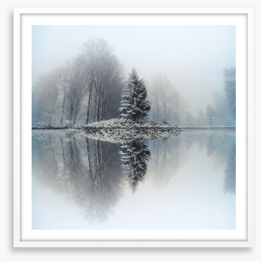 Mirror lake fir