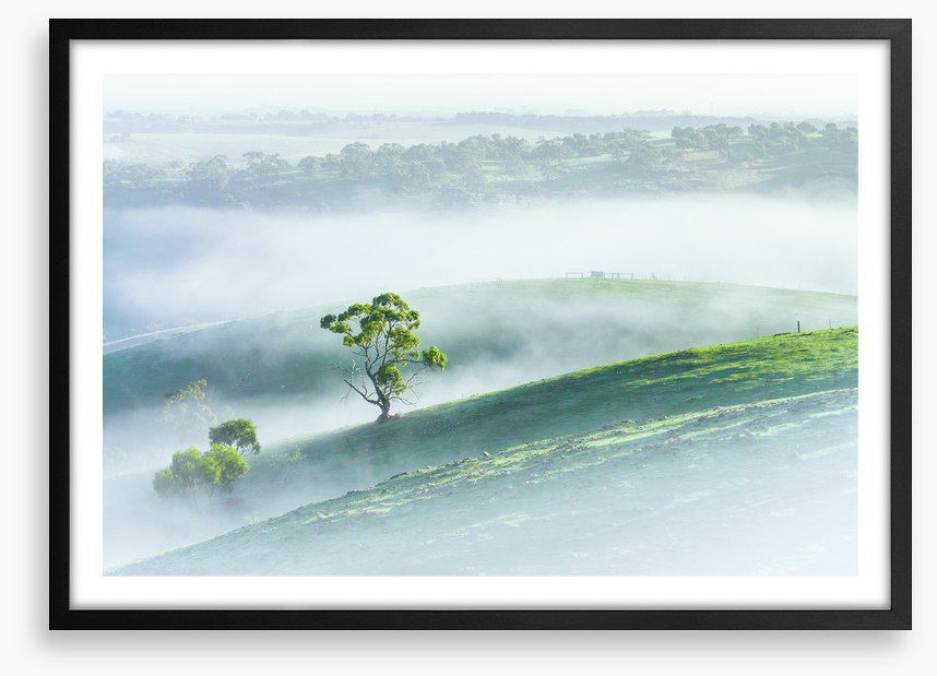 Morning mist