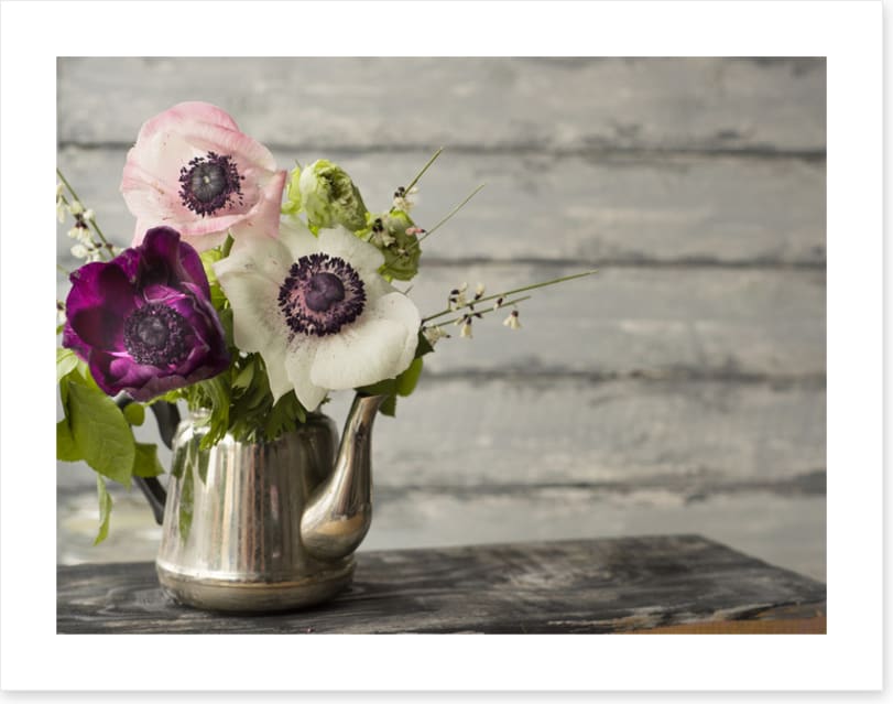Vintage anemones